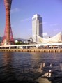 10295_s.jpg
