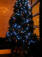 DSCF4837.JPG