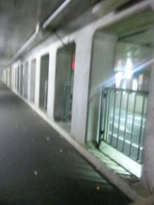 DVC00133.jpg