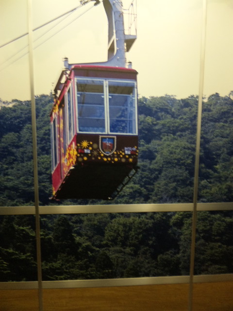 DVC00366.JPG
