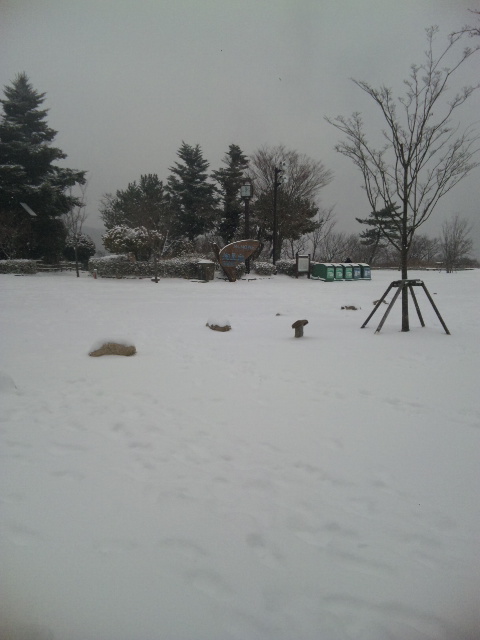 DVC00636.JPG