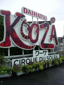 DVC00839.jpg