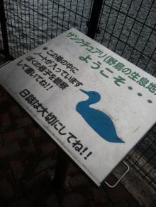 DVC00927.jpg