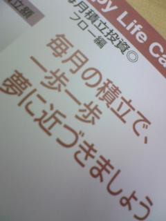2009年01月15日