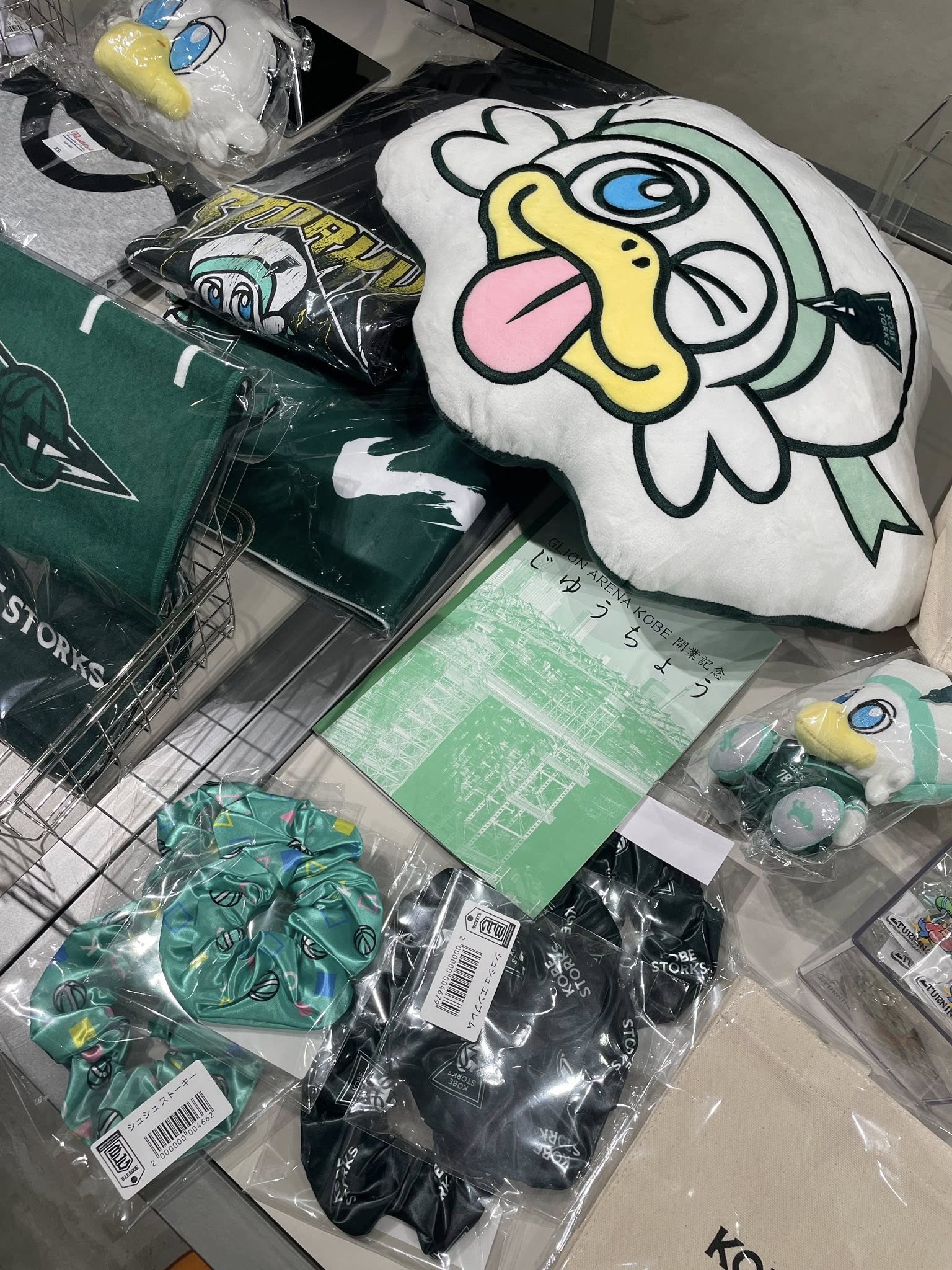 ジーライオンアリーナ神戸に神戸ストークスに試合を見に行きました！
