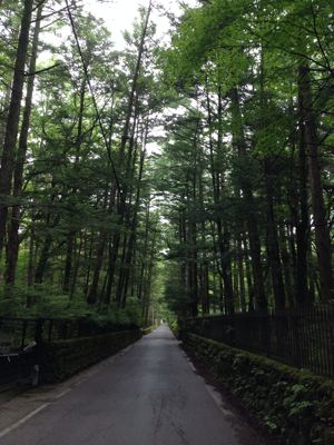 関西から軽井沢への行き方オススメ。