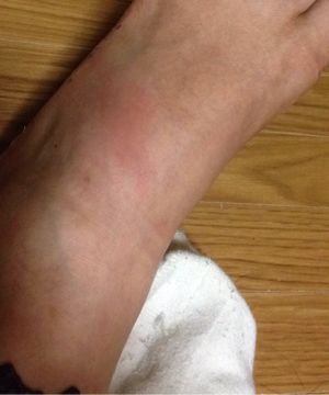お約束の9月を振り返る！