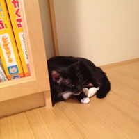2012年07月17日