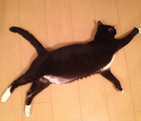 2012年06月20日