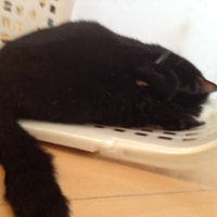 2012年08月09日