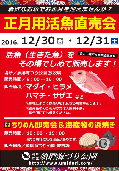 海づり公園スタッフブログ コブダイ釣り大会 ご案内