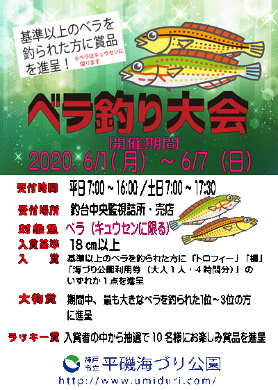 海づり公園スタッフブログ ベラ釣り大会 開催中