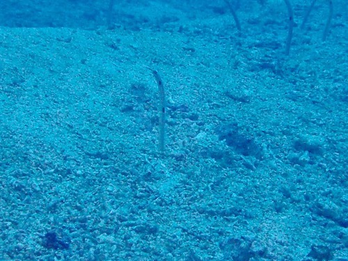 油断大敵