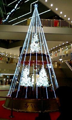 2007年11月17日