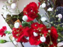 IMG_2225.jpg