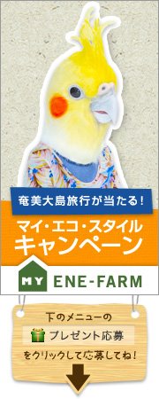 マイエコ.jpg