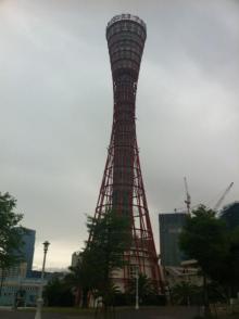 IMG_9524.jpg