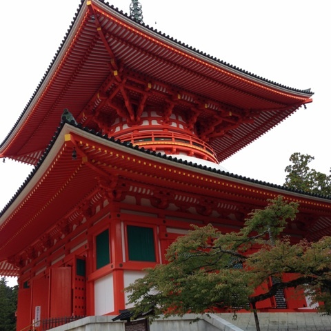 高野山金剛.jpg
