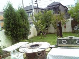 29067_s.jpg