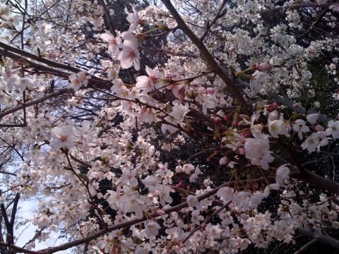 2010年04月04日