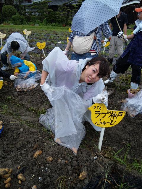 2010年07月11日