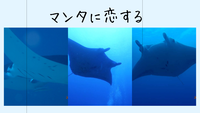 2022年05月22日