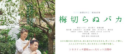 映画　「梅切らぬバカ　」観てきました