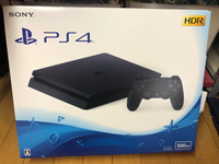 あね氏、ついにps4を買う‼︎