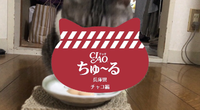 2018年09月10日